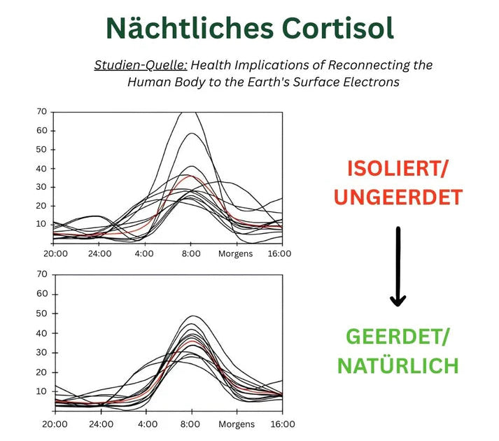 Oturéa® Erdungsbezug